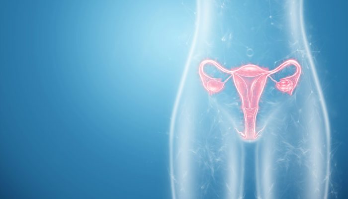 hologram-female-organ-uterus-diseases-uterus-ovaries-menstrual-pain-medical-examination-women-s-consultation-gynecology-3d-illustration-3d-render (1)